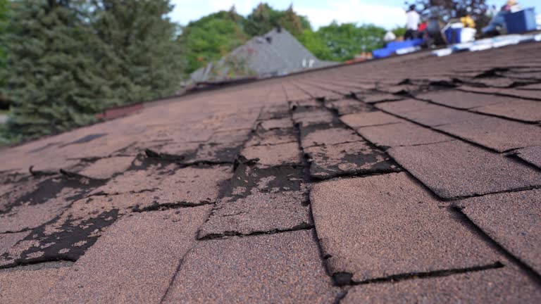 Best Rubber Roofing (EPDM, TPO)  in Chillum, MD